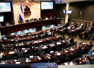El CN amplía prórroga para que propietarios de vehículos reclamen la nueva placa