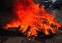 Fiscalía incinera unas mil 300 libras de marihuana en Danlí