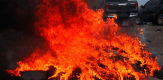 Fiscalía incinera unas mil 300 libras de marihuana en Danlí