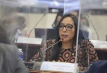 Al PSH no solo le mintieron, también lo utilizaron, señala diputada Lissi Cano