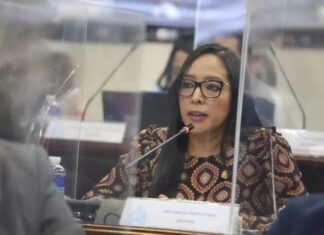Al PSH no solo le mintieron, también lo utilizaron, señala diputada Lissi Cano