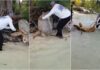 Hombre libera a una tortuga marina en Utila