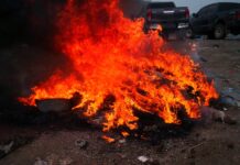 Incineran más de 1,000 libras de marihuana en Danlí