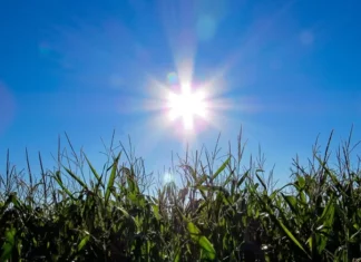 Del 15 al 21 de julio se presentará la canícula, más marcada en el sur y occidente