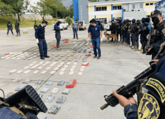 Decomisan unos 15 fardos de droga en Iriona, Colón