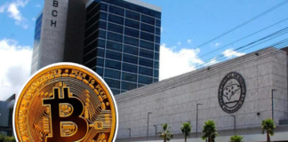 El uso de criptomonedas en el país no está respaldado en la ley, reitera el BCH