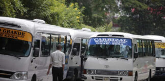 Solo el transporte público tendrá prórroga para el cambio de placas