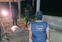 Policía Nacional incauta 58 paquetes de clorhidrato de cocaína en Colón