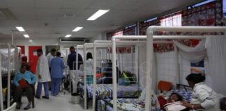 La Secretaría de Salud reporta más de 10 mil casos de dengue a nivel nacional