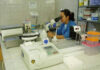 El Colegio de Microbiólogos de Honduras alerta que hay laboratorios que operan sin licencias sanitarias