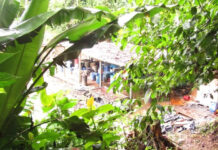 Agentes policiales desmantelan tres narcolaboratorios en Patuca, Olancho