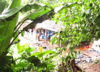 Agentes policiales desmantelan tres narcolaboratorios en Patuca, Olancho