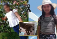 Pruebas de luminol demuestran que a la niña Alisson Nahomy Argueta no la mató el perro pitbull