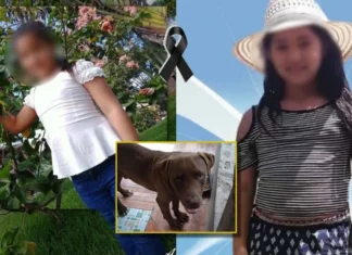 Pruebas de luminol demuestran que a la niña Alisson Nahomy Argueta no la mató el perro pitbull