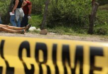 Una mujer es asesinada por su pareja sentimental, en la capital