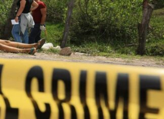 Por falta de autopsias, no hay celeridad en las investigación de feminicidios en el país, según Julissa Villanueva