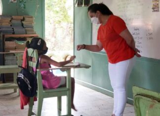 Más de 500 docentes están contagiados de Covid-19 en SPS