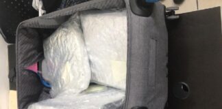 Policía de fronteras detiene en Copán a guatemalteco que intentaba ingresar marihuana al país