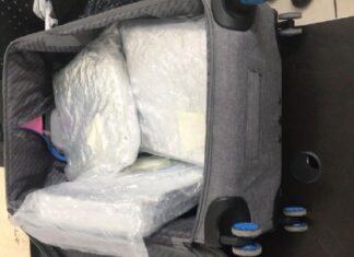 Policía de fronteras detiene en Copán a guatemalteco que intentaba ingresar marihuana al país