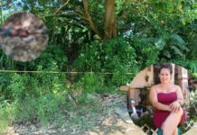 Tras 20 días desaparecida encuentran sin vida a una mujer en Puerto Cortés