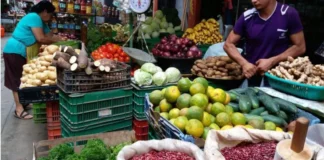 Aprueban moción orientada a revisar el precio de la canasta básica y fertilizantes ante la rebaja de combustibles en el país