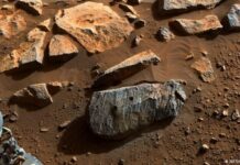 Perseverance halla rocas clave para saber si hubo vida en Marte