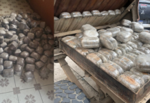 Detienen a un ciudadano que transportaba 207 libras de marihuana en Lepaguare, Olancho