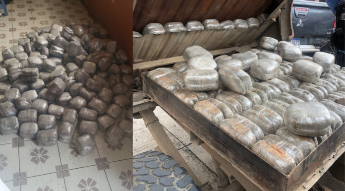 Detienen a un ciudadano que transportaba 207 libras de marihuana en Lepaguare, Olancho