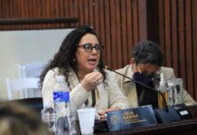 Ni el 50% de su presupuesto han ejecutado Instituciones del Estado, señala diputada