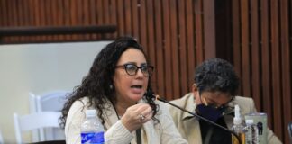 Ni el 50% de su presupuesto han ejecutado Instituciones del Estado, señala diputada