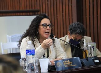 Ni el 50% de su presupuesto han ejecutado Instituciones del Estado, señala diputada