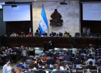 Desde el Congreso Nacional se promueve una revisión al actual salario mínimo
