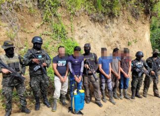 Capturan a cinco personas en una plantación de 19 mil arbustos de marihuana en Colón