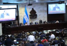 El CN aprueba el segundo debate de la nueva Ley del Consejo Nacional de Defensa y Seguridad