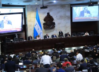 El CN aprueba el segundo debate de la nueva Ley del Consejo Nacional de Defensa y Seguridad