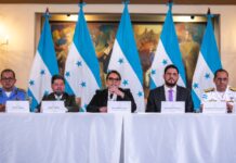 Consideran que fue un error de la presidenta Castro convocar al Consejo de Defensa y Seguridad con una ley inconstitucional