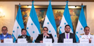 Consideran que fue un error de la presidenta Castro convocar al Consejo de Defensa y Seguridad con una ley inconstitucional