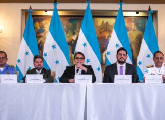 Consideran que fue un error de la presidenta Castro convocar al Consejo de Defensa y Seguridad con una ley inconstitucional