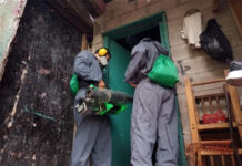 Médicos Sin Fronteras desarrollan un plan para intervenir el Distrito Central, ante el alto número de casos de dengue