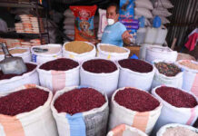 Productores advierten escasez de granos básicos debido a la baja en la producción