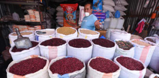 El presidente de Prograno confirma que habrá una rebaja en el precio de la carga del frijol y maíz en Honduras