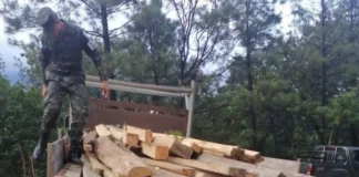 Aseguran dos vehículos que transportaban madera de forma irregular en el occidente del país