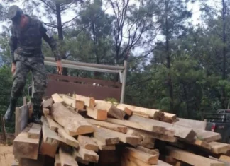 Aseguran dos vehículos que transportaban madera de forma irregular en el occidente del país
