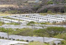 Titular del INJUPEMP señala que unas 690 viviendas podrían estar aptas para ser habitadas en Ciudad Mateo