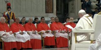 El papa Francisco nombra 20 nuevos cardenales en su octavo consistorio