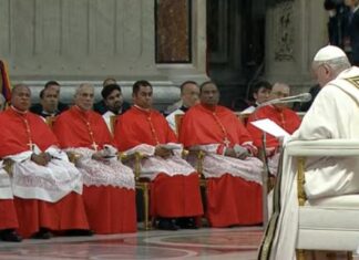 El papa Francisco nombra 20 nuevos cardenales en su octavo consistorio