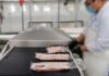 Con capital judío se instalará en Honduras la procesadora de carne más grande de CA