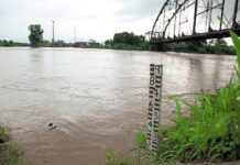 Río Ulúa genera inundaciones en áreas ribereñas en el Valle de Sula