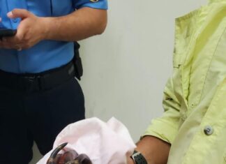 Policía detiene a un hombre que transportaba ilegalmente 112 especies de animales en Choluteca