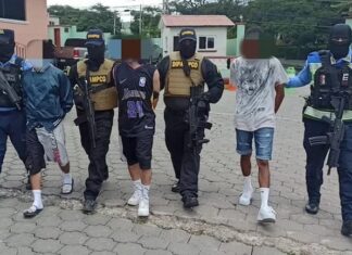 Reportan la captura de tres pandilleros en Tegucigalpa por delito de extorsión al transporte